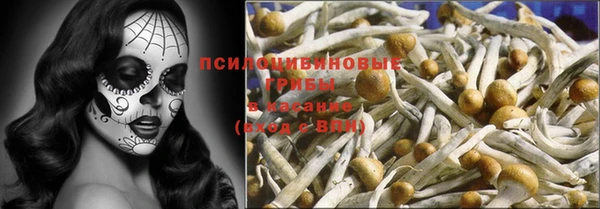 каннабис Белокуриха