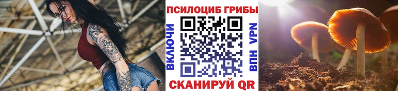 Псилоцибиновые грибы Psilocybine cubensis  Сегежа 