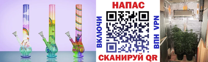 Бошки Шишки THC 21%  цены наркотик  Сегежа 